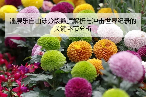 pan-zhan-le-zi-you-yong-fen-duan-shu-ju-jie-xi-yu-chong-ji-shi-jie-ji-lu-de-guan-jian-huan-jie-fen-xi-1-997.jpg
